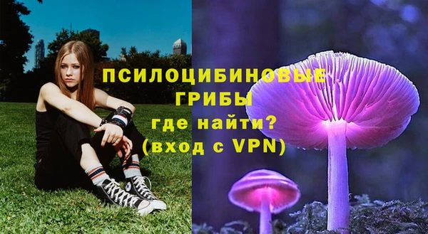 гашишное масло Богданович