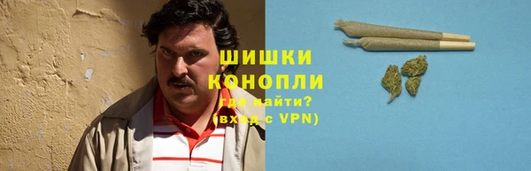 ГАЛЛЮЦИНОГЕННЫЕ ГРИБЫ Богородск