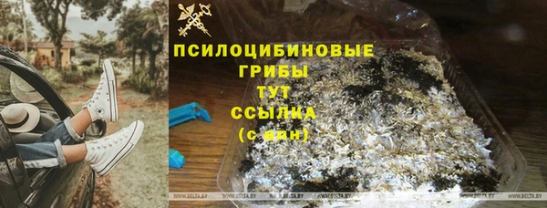 мдма Богородицк