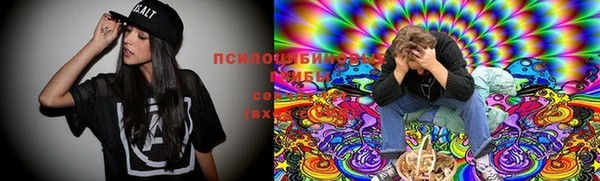 ГАЛЛЮЦИНОГЕННЫЕ ГРИБЫ Богородск